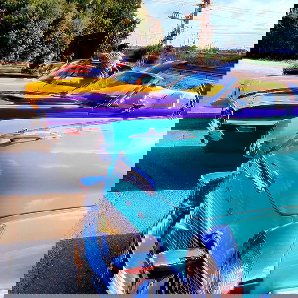 shanikaneko image ~ Altpins