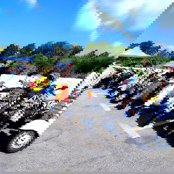 shanikaneko image ~ Altpins