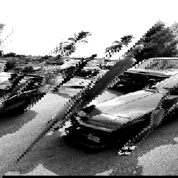 shanikaneko image ~ Altpins