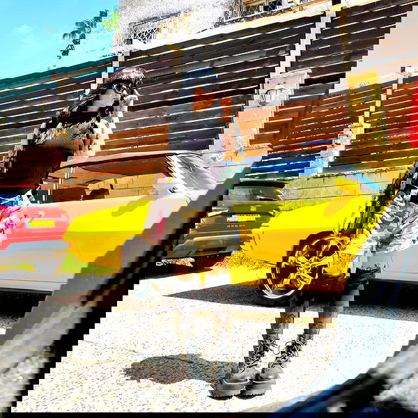 shanikaneko image ~ Altpins