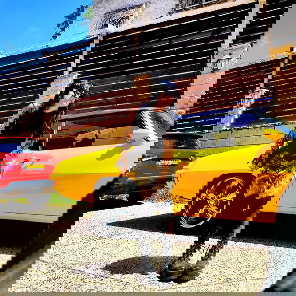 shanikaneko image ~ Altpins