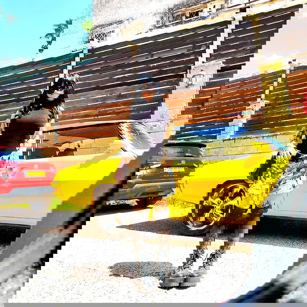 shanikaneko image ~ Altpins