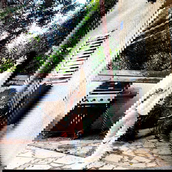 shanikaneko image ~ Altpins