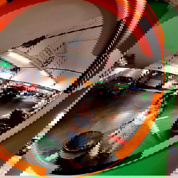 shanikaneko image ~ Altpins