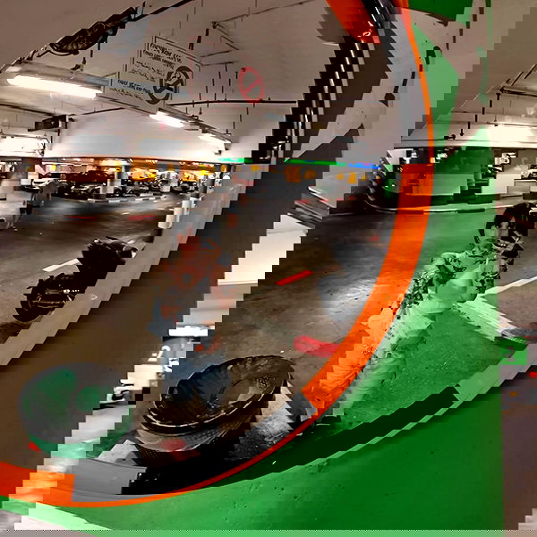 shanikaneko image ~ Altpins