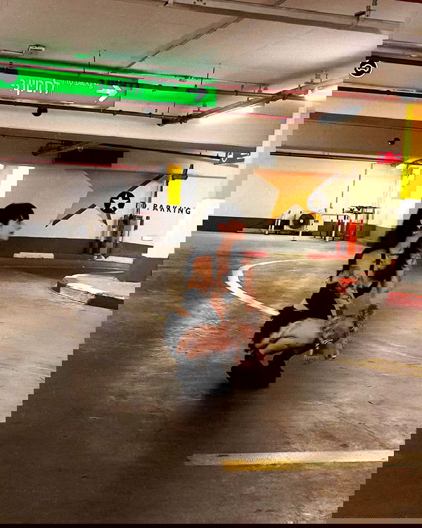 shanikaneko image ~ Altpins