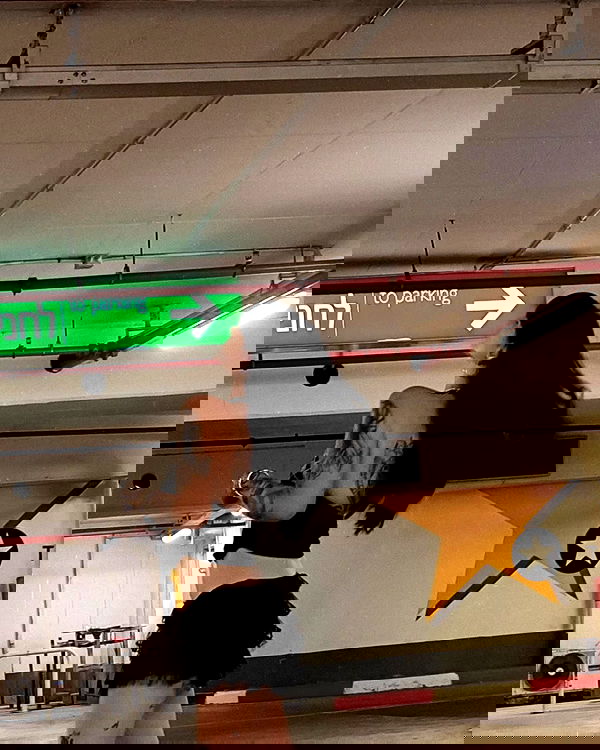 shanikaneko image ~ Altpins