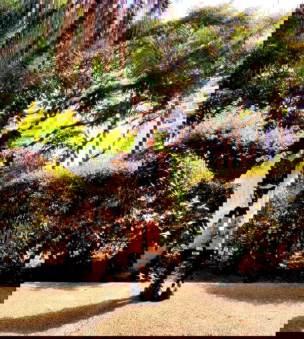 shanikaneko image ~ Altpins