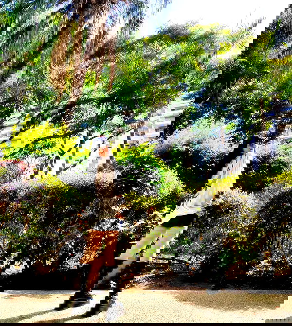 shanikaneko image ~ Altpins