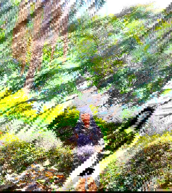 shanikaneko image ~ Altpins