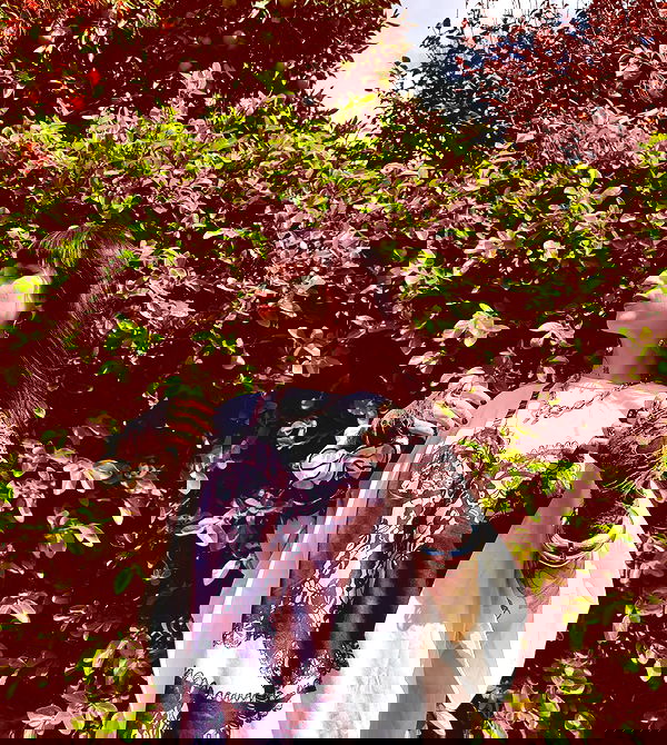 shanikaneko image ~ Altpins