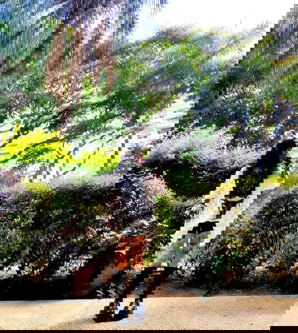 shanikaneko image ~ Altpins