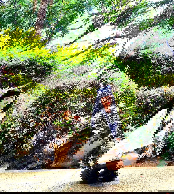 shanikaneko image ~ Altpins