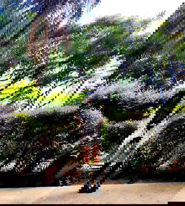 shanikaneko image ~ Altpins