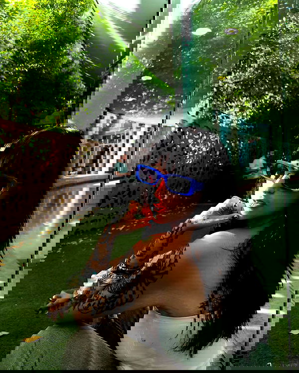 shanikaneko image ~ Altpins