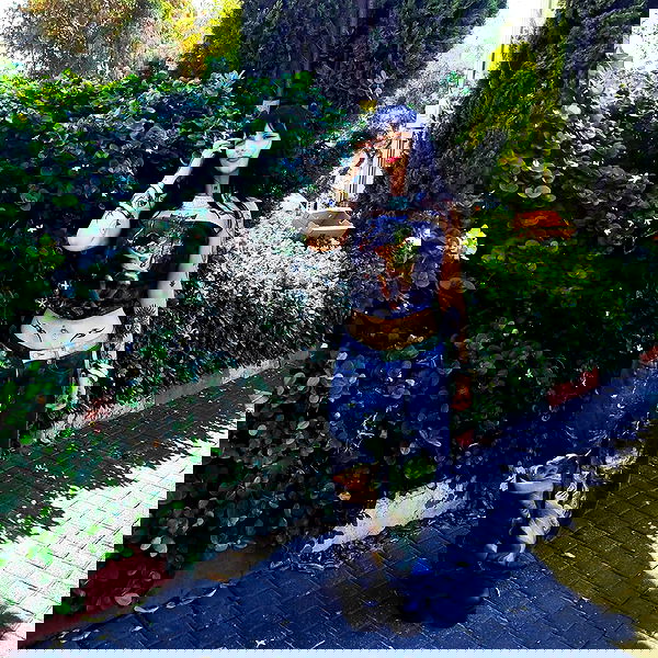 shanikaneko image ~ Altpins