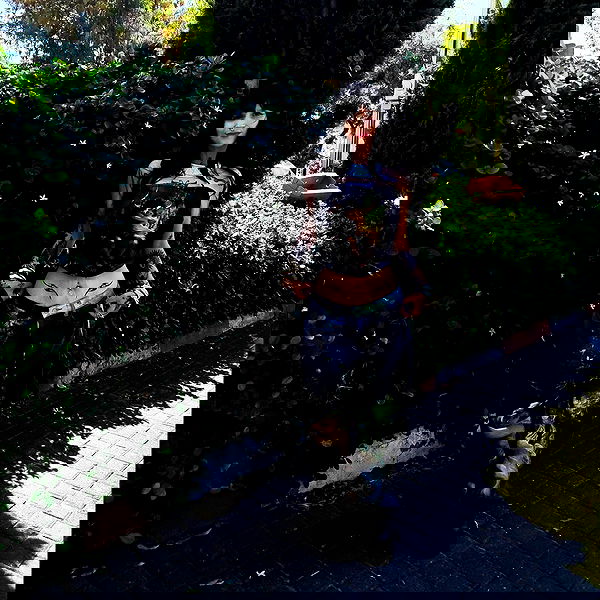 shanikaneko image ~ Altpins