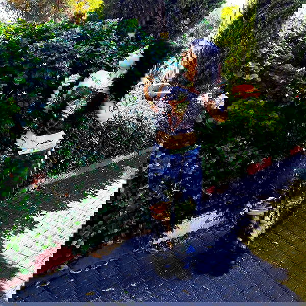 shanikaneko image ~ Altpins