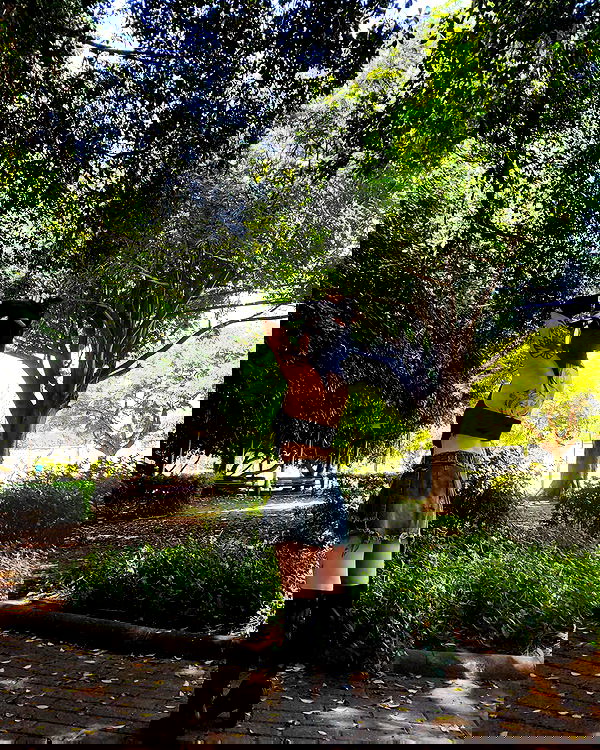 shanikaneko image ~ Altpins