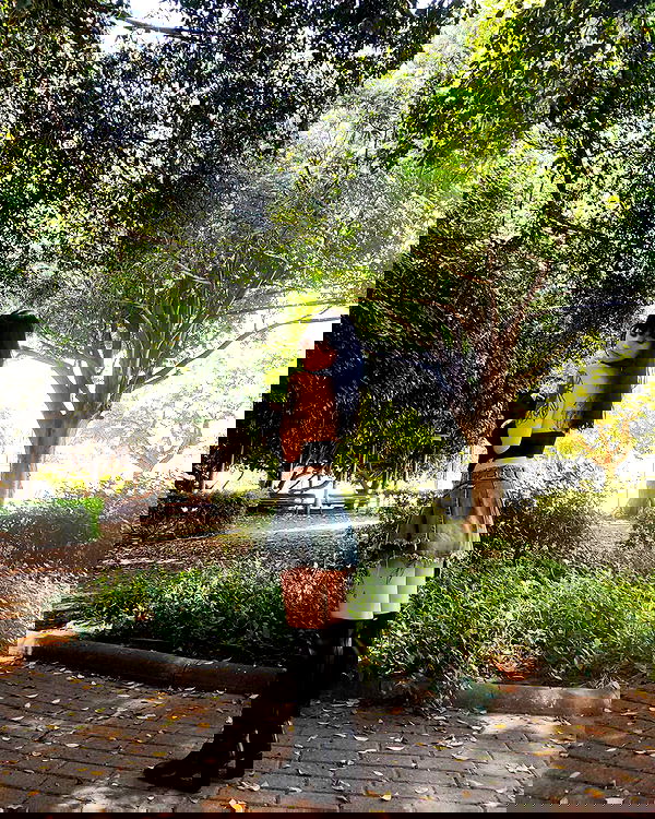 shanikaneko image ~ Altpins