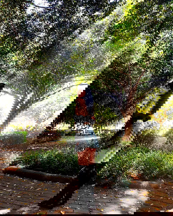 shanikaneko image ~ Altpins