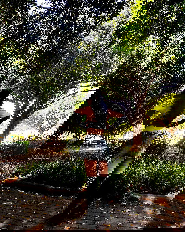 shanikaneko image ~ Altpins