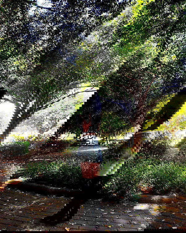 shanikaneko image ~ Altpins