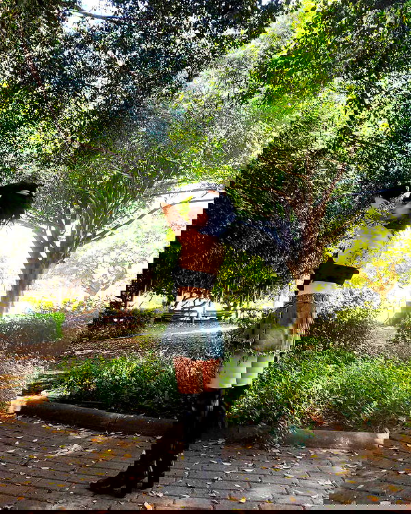 shanikaneko image ~ Altpins