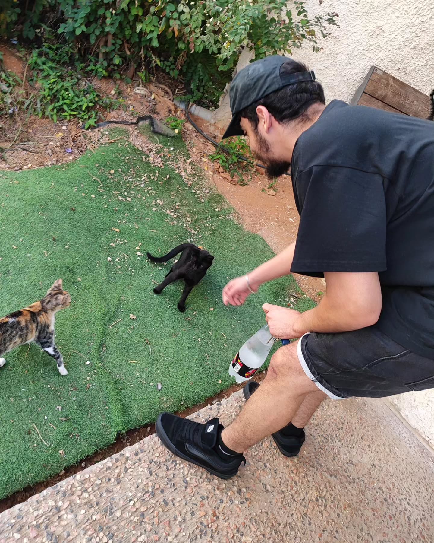 shanikaneko instagram image archive image