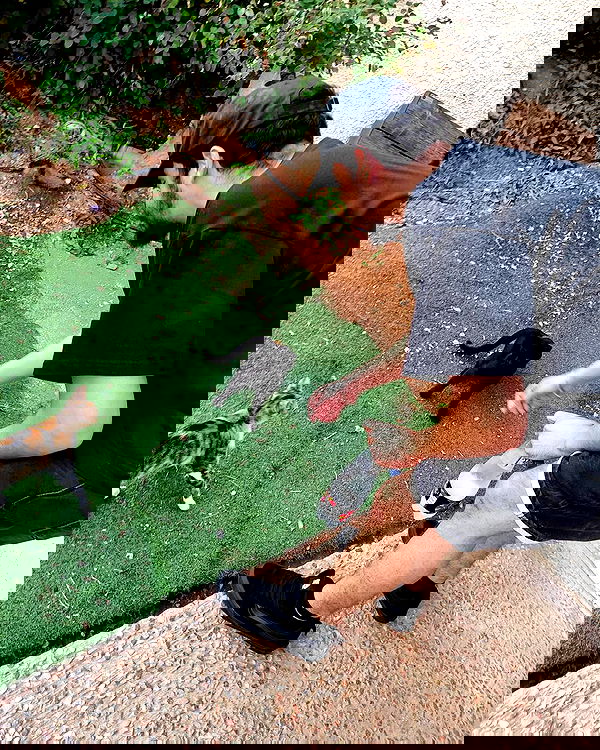 shanikaneko image ~ Altpins