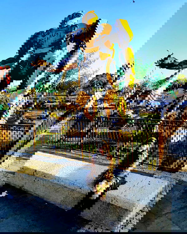 shanikaneko image ~ Altpins