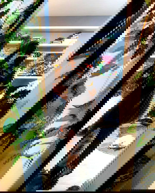 shanikaneko image ~ Altpins