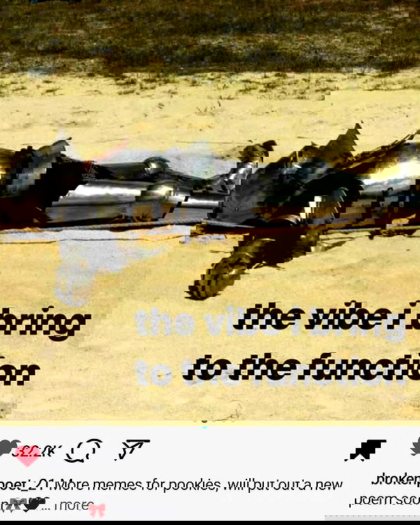 shanikaneko image ~ Altpins