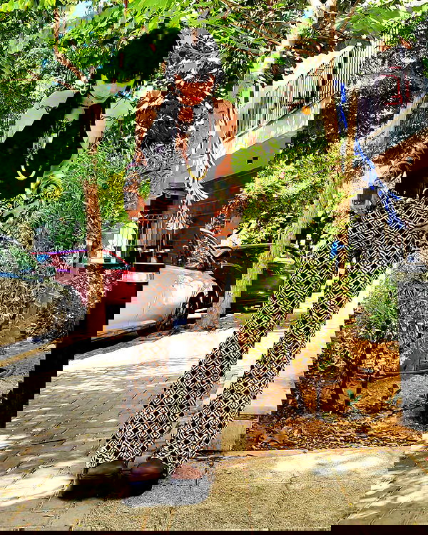 shanikaneko image ~ Altpins