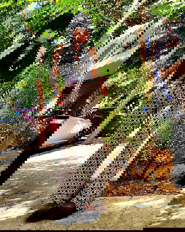 shanikaneko image ~ Altpins