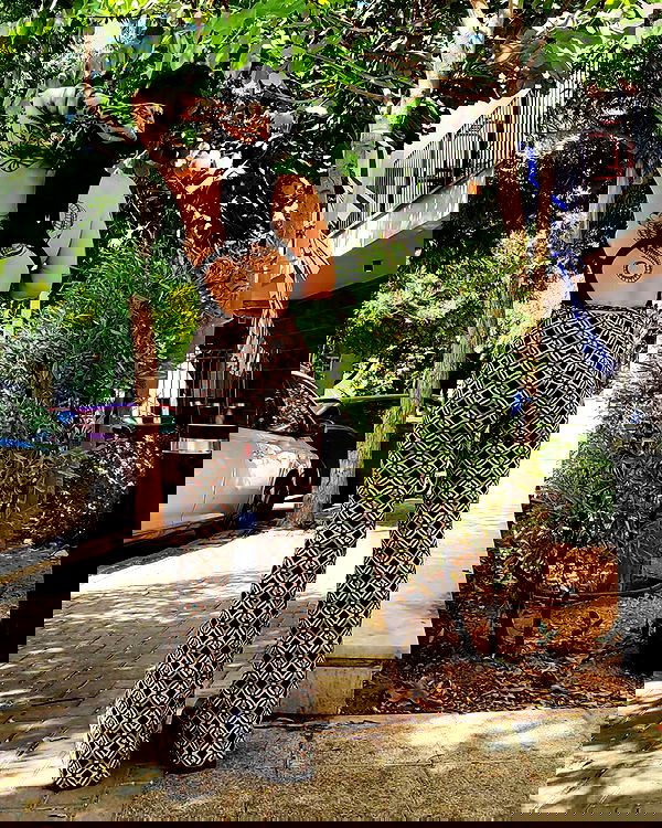 shanikaneko image ~ Altpins