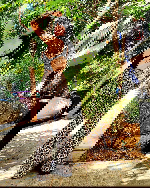 shanikaneko image ~ Altpins