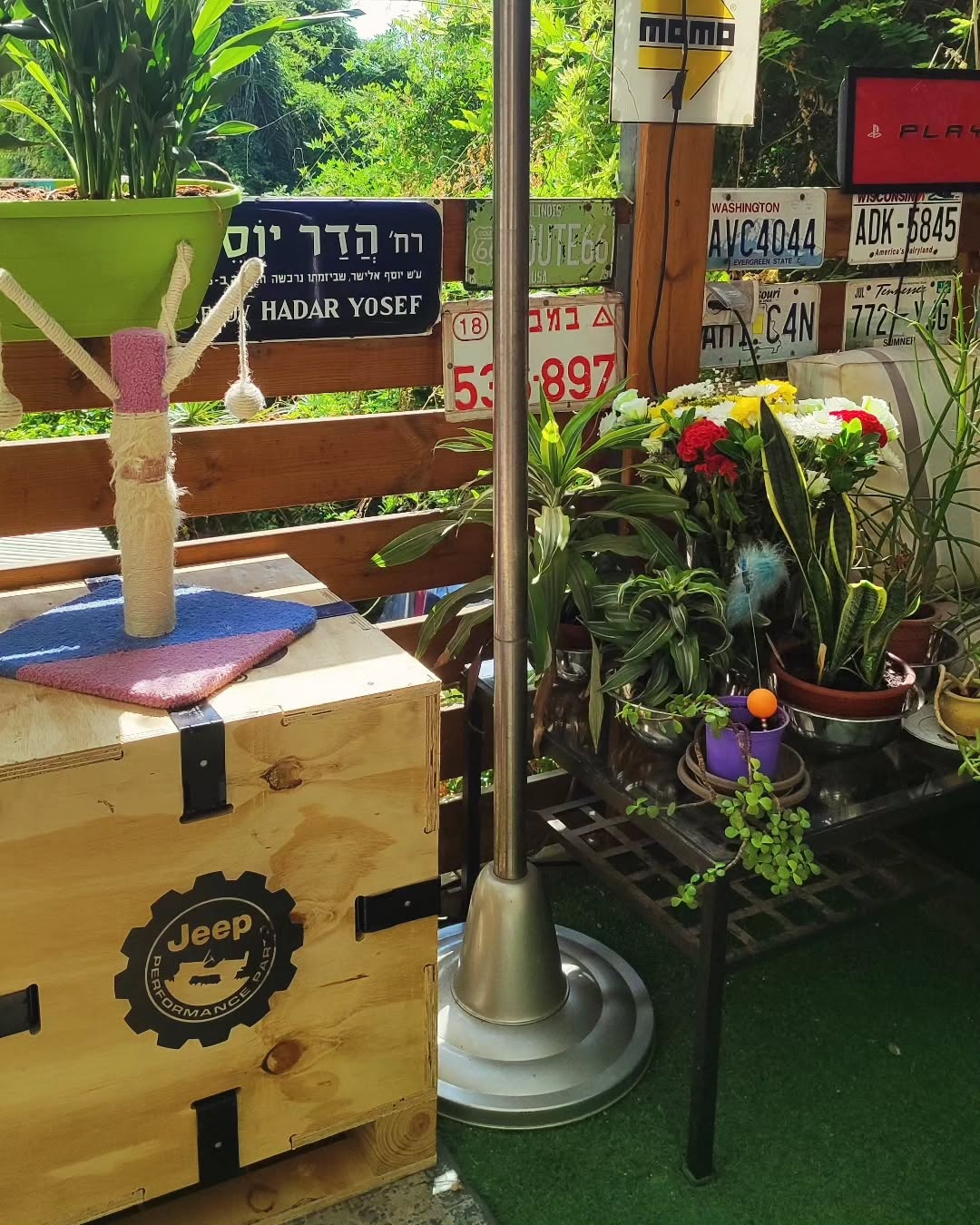 shanikaneko instagram image archive image