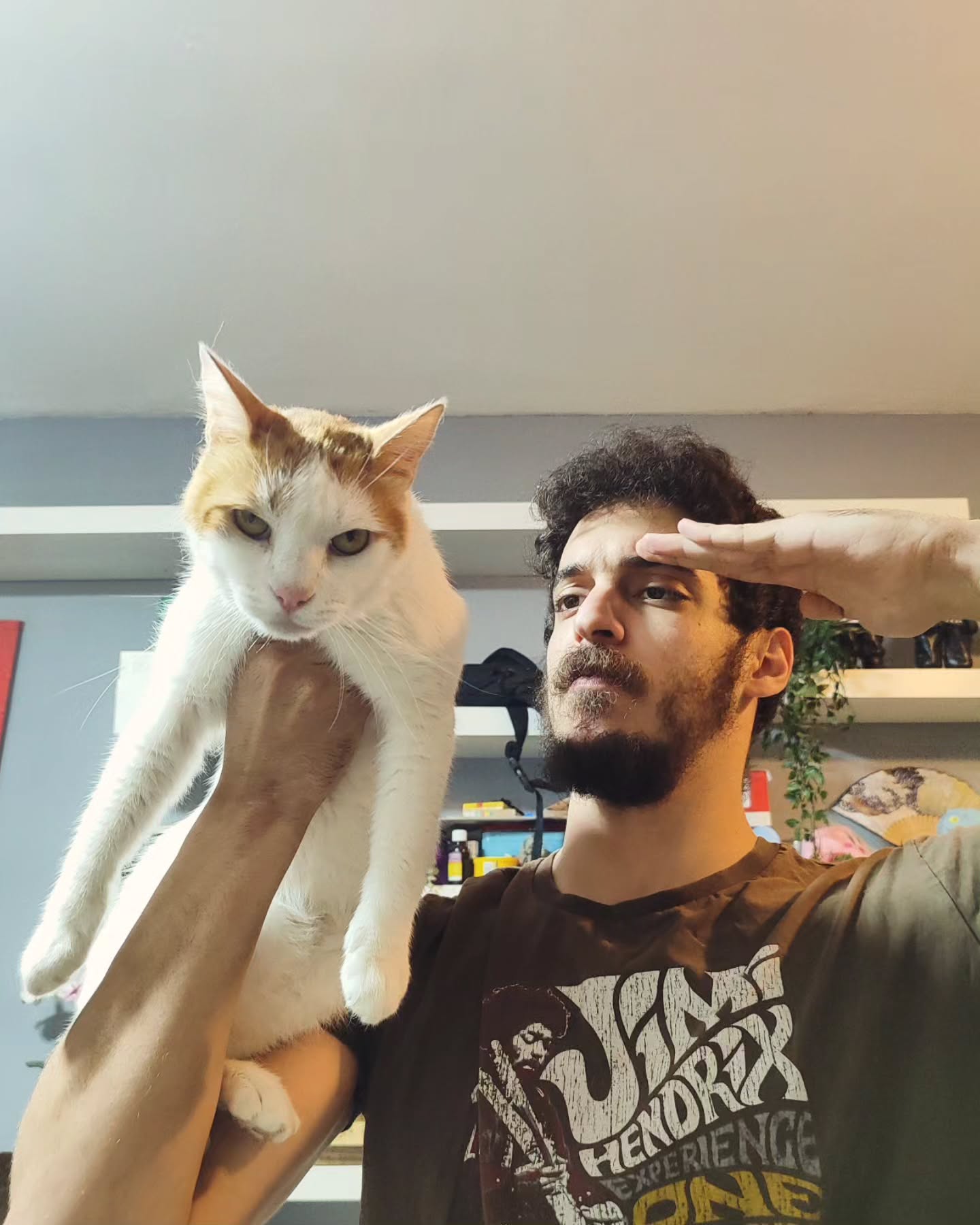 shanikaneko instagram image archive image