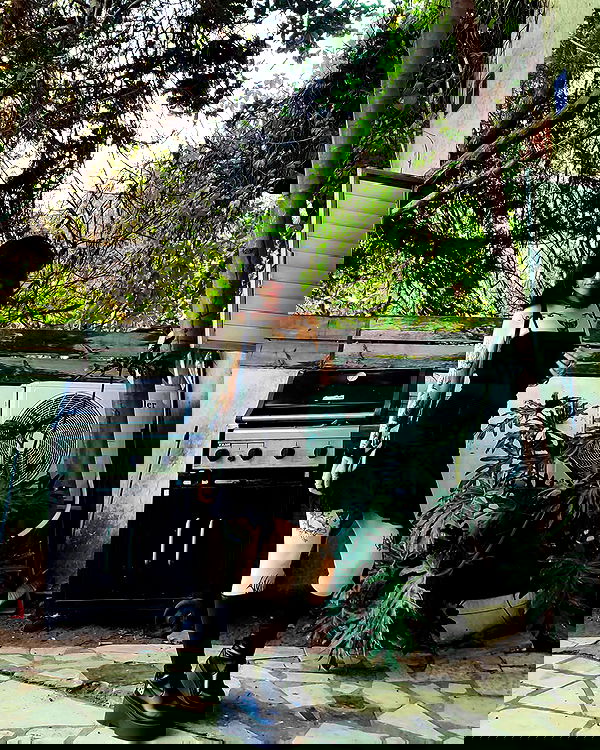 shanikaneko image ~ Altpins