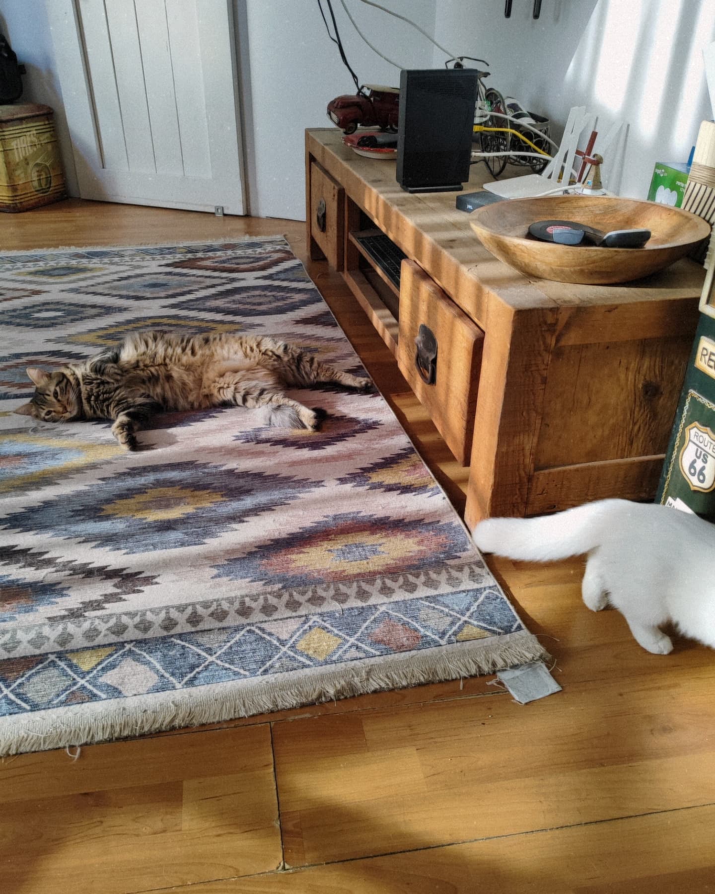 shanikaneko instagram image archive image