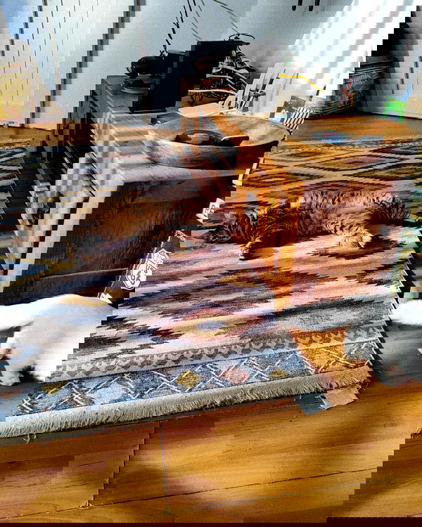 shanikaneko image ~ Altpins