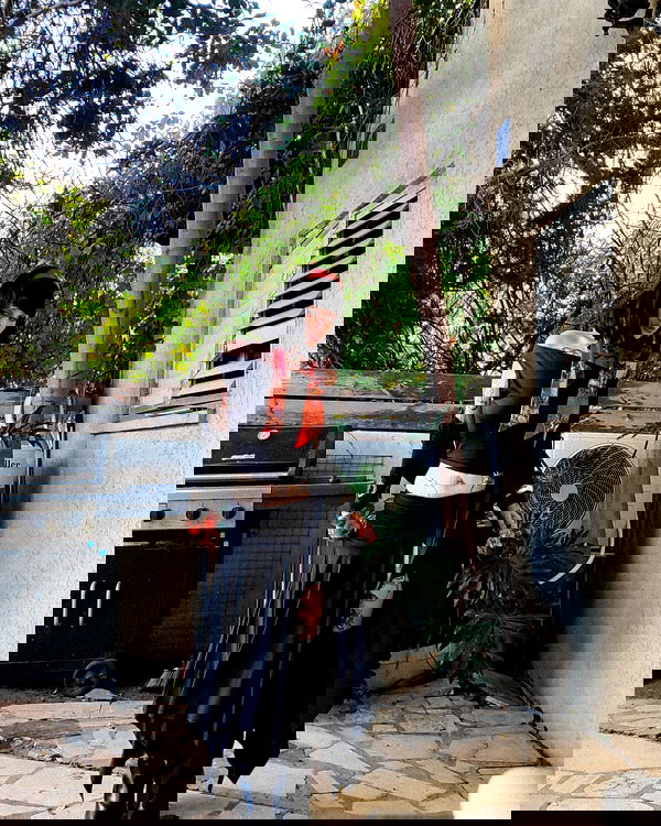 shanikaneko image ~ Altpins