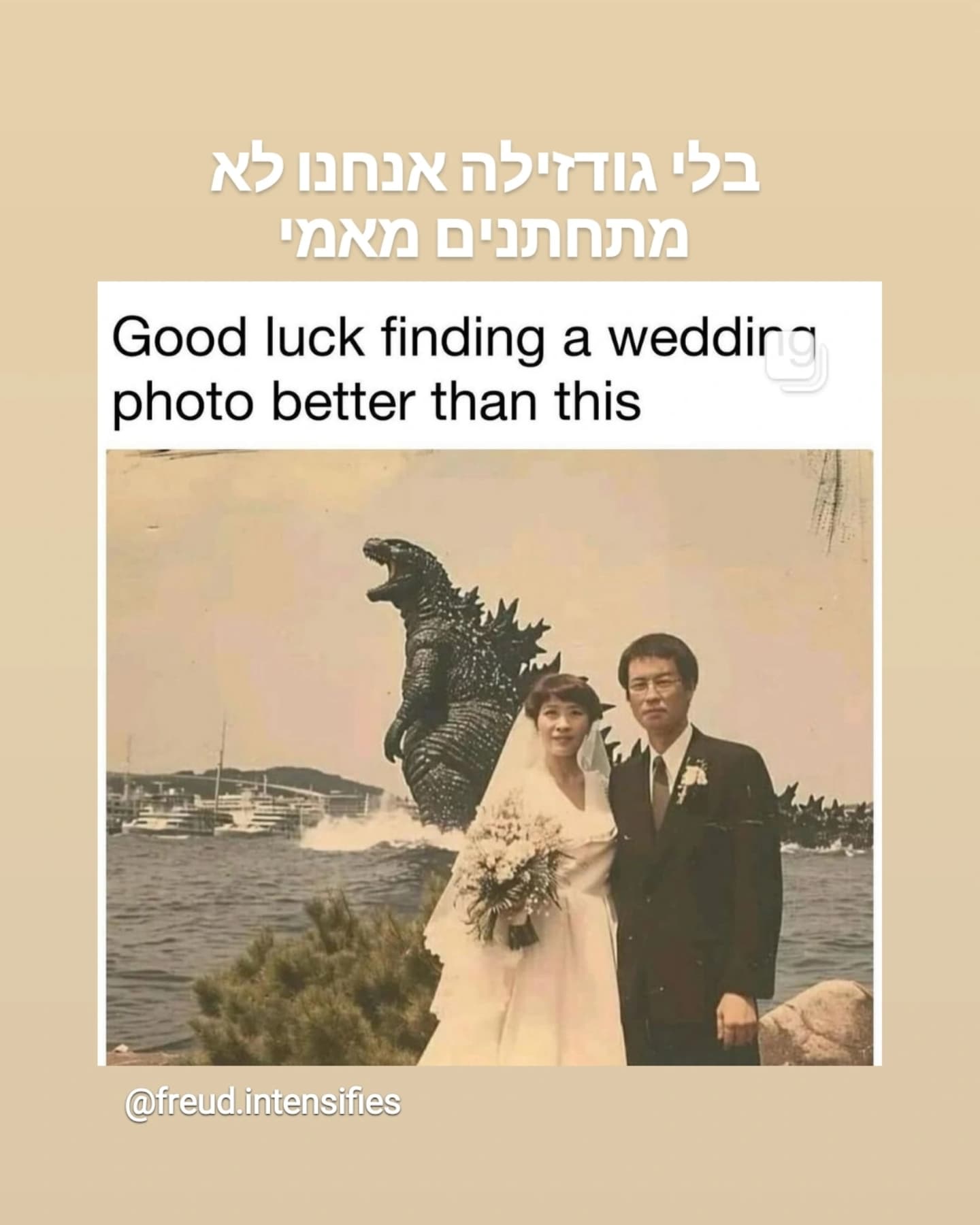 shanikaneko instagram image archive image