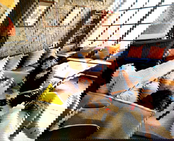 shanikaneko image ~ Altpins