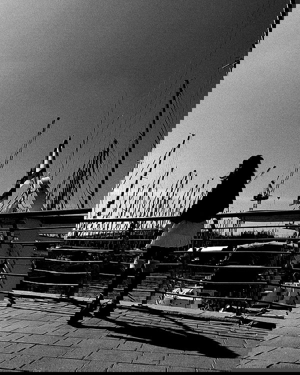 shanikaneko image ~ Altpins