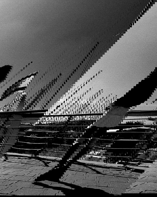 shanikaneko image ~ Altpins