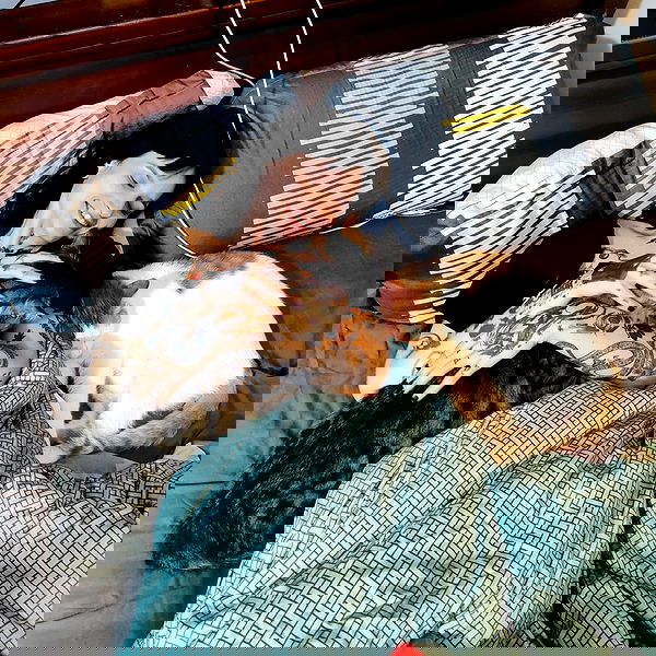 shanikaneko image ~ Altpins