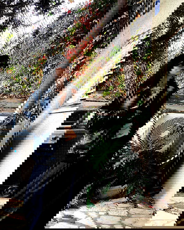 shanikaneko image ~ Altpins