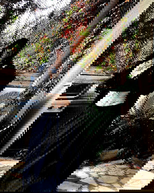 shanikaneko image ~ Altpins